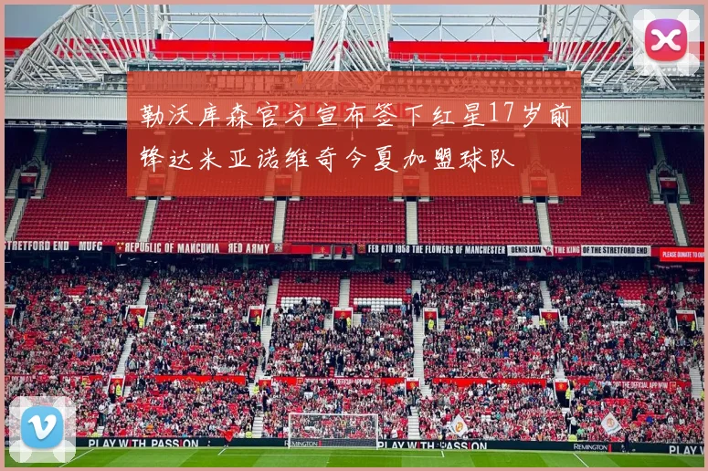 勒沃库森官方宣布签下红星17岁前锋达米亚诺维奇今夏加盟球队